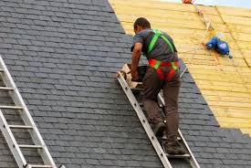 Best Roof Maintenance and Cleaning  in Bridgewater, VA